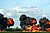 Pyroplastic Explosions