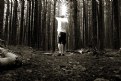 Picture Title - untitled