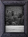 Picture Title - astara forests