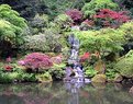 Picture Title - Japanese Gardens