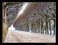 Picture Title - Alley in the Snow