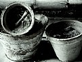 Picture Title - pots