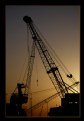 Picture Title - dawn cranes