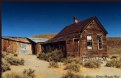 Picture Title - Bodie