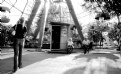 Picture Title - Luna Park