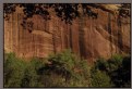 Picture Title - Canyon Cliff with foliage