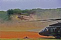 Picture Title - Chinook and Blackhawk