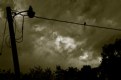 Picture Title - On a Wire in Stormy Weather