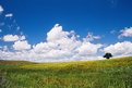 Picture Title - Alentejo Field