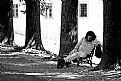 Picture Title - la "pennichella"