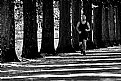 Picture Title - city runner