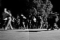 Picture Title - ballo paesano