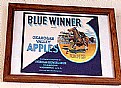 Picture Title - Blue Winner