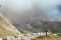 Picture Title - Yellowstone Forest Fire