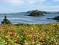 Picture Title - Parc du Bic