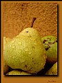 Picture Title - PeAr