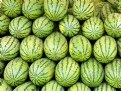 Picture Title - Melons