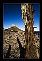 Picture Title - Lindisfarne Castle