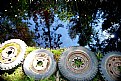 Picture Title - Tyres lined up in beauty