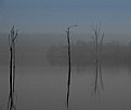 Picture Title - Fog