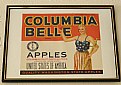 Picture Title - Columbia Belle Apples