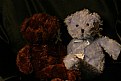 Picture Title - the bears