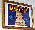 Picture Title - Danny Boy Apples