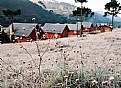 Picture Title - Cool Morming