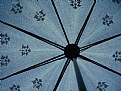 Picture Title - The Blue Umbrella