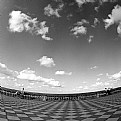 Picture Title - "Terrazza Mascagni" #13