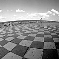 Picture Title - "Terrazza Mascagni" #14