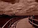 Picture Title - Dunes de Bouctouche, Nouveau Brunswick