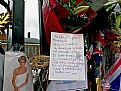 Picture Title - Princess Diana remembered