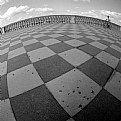 Picture Title - "Terrazza Mascagni" #17