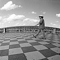 Picture Title - "Terrazza Mascagni" #18