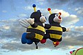 Picture Title - Big BEES 