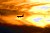 Hot  Fly