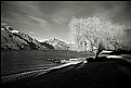 Picture Title - Lake Wakatipu