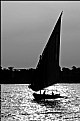 Picture Title - Felucca 2