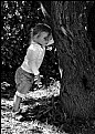 Picture Title - The Shyness