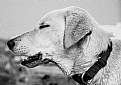 Picture Title - Feel so good to be free