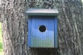 Picture Title - bird house