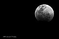 Picture Title - Blood Moon in B/W