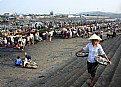 Picture Title - Fish Market