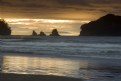 Picture Title - Whangamata