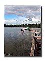 Picture Title - Iquitos