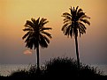 Picture Title - PERSIAN GULF SUNSET