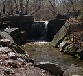 Picture Title - Spring in NY.