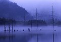 Picture Title - Morning in Tibet