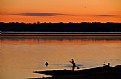 Picture Title - Applauding Duck